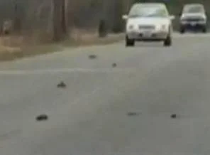 Gizemli ölümlerin sırrı çözüldü