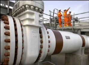 Muş'ta doğalgaz proje çalışmaları başladı