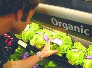 Semt pazarlarında organik yok satıyor