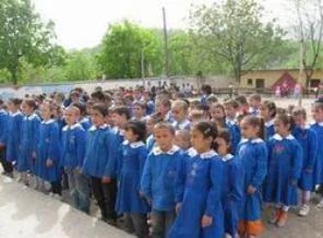 Sen misin Törende Gülen; Haydi 'Ben Eşeğim' Diye Bağır!