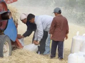 'Tarım dışı işsizlikte düşüş var'