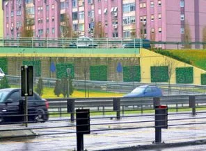 Trafik gürültüsüne 'yeşil' çözüm