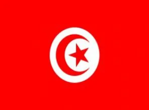 ''Tunus'taki devrim heba olmamalı''