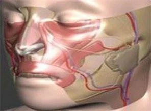 Yüz nakli için geri sayım başladı