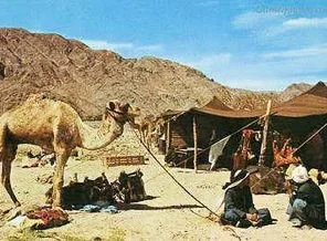 Bedevi kabilelerinden yönetime uyarı