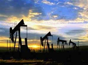 Birol: Petrol fiyatları tehlike bölgesinde