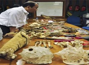 İnternetten hayvan dişi satan adam yakalandı