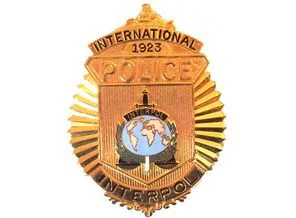Interpol'den, Afrika'ya korsanlara karşı yardım