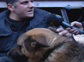 K-9 kurtulunca böyle sevindi