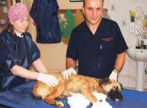 Masrafı duyunca, yaralı köpeği bırakıp kaçtılar!