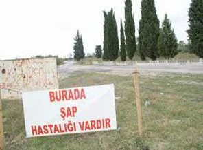 Sığır Şap hastalığı sebebiyle Tonya İskenderli beldesi karantinaya alındı