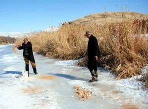Yaban hayvanları için doğaya yem bırakıldı