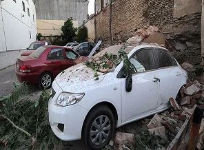 'Yeni Zelanda'nın en kara günü olabilir'