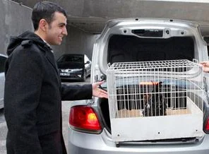 YÖK'ün çok öten horozu öğrenciye teslim