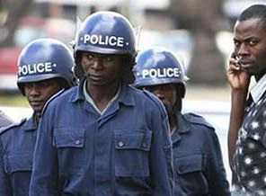 Zimbabve'de isyan korkusu