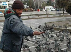 Güvercin besleyerek çocuklarını okutuyor