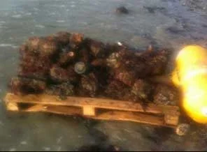 İngiltere'de 70 yıllık el bombaları sahile vurdu