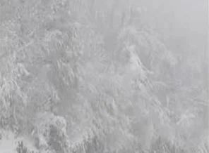 Kartepe'de kaybolan 2 kişiye ulaşıldı