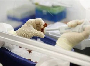 Makedonya'da domuz gribinden 2 kişi öldü