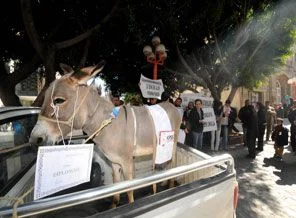 Öğretmen adaylarından eşekli protesto