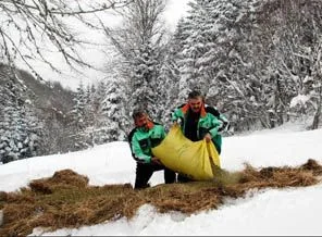 Ormandaki hayvanlara kar motosikleti ile yem gitti