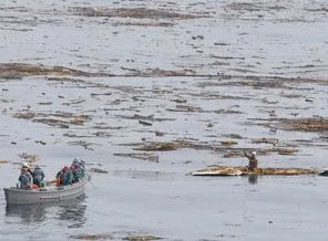Tsunaminin 15 km. sürüklediği Japon, kurtarıldı