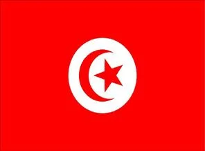 Tunuslu göçmenleri taşıyan gemi battı