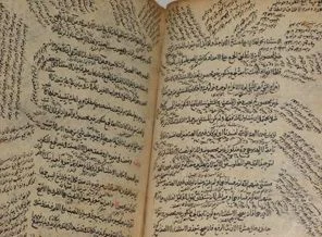 Türkiye yazma eserlerine sahip çıkıyor