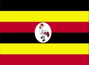Uganda Libya'nın mal varlığını donduruyor