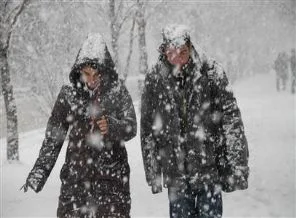 Erzurum'a lapa lapa kar yağdı!