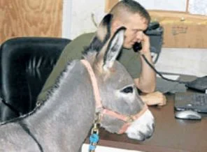 Habur'da ABD ile eşek krizi!