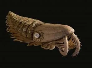 540 milyon yaşında bir canavar bulundu