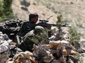 Şırnak'ta 12 PKK'lı öldürüldü