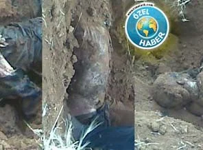 Suriye'deki toplu mezarlara ait yeni görüntüler