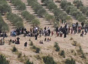 Suriye'den kaçış hızlandı
