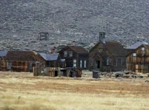 Teksas'taki arazide çocuk cesetleri