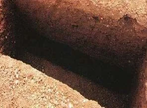Uzun yaşamak için öldü