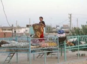 540 kişi uyurken damdan düştü