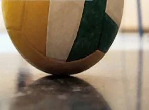 Erkek voleybolcularımız yarı finalde
