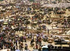 İşte eski İstanbul'dan nostaljik kareler