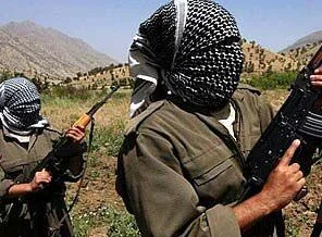 PKK'lı grup iki askeri kaçırdı