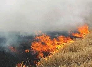 Tarlasındaki otları yakmak isterken öldü