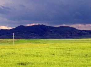 Tarım arazilerinin yok edilmesine yargı freni