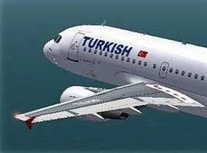 THY uçağı kuş sürüsüne girdi