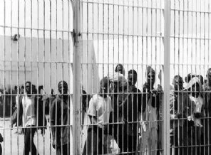 317 Eritreli gözaltına alındı