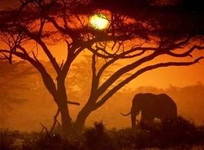 Doğu Afrika'nın 'farklı' ülkesi