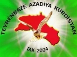 PKK şehir eylemlerini TAK'a yaptırıyor