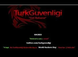 Türk internet korsanlarından İngiltere'de operasyon