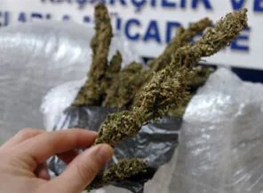 23 kilo esrar ele geçirildi