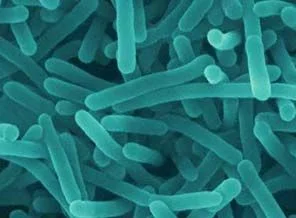 ABD'de Listeria salgını büyüyor